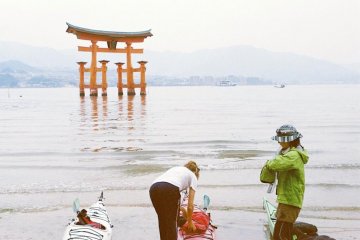 <p>On one of my trips to Miyajima I did a day long kayaking trip with the company called Paddle Park. I highly recommend it!</p>