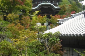 <p>At the Daisho-In temple on Miyajima Island. You can spend hours looking around this beautiful place.</p>