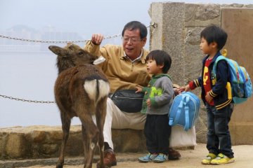 <p>Oh, yes there are tame deer all over the island that are on the hunt for loose pieces of paper hanging out of your pockets!</p>