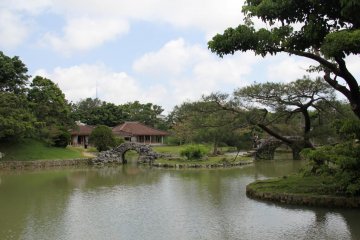 <p>The royal garden contains a banana plantation as well as multiple varietyies of rosaceae, pinaceae, leguminosae, boraginaceae, guttiferae, sapindaceae, and cycadaceae</p>
