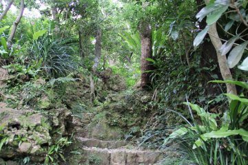 <p>Some of the pathways narrowly wind up steep and slippery inclines</p>