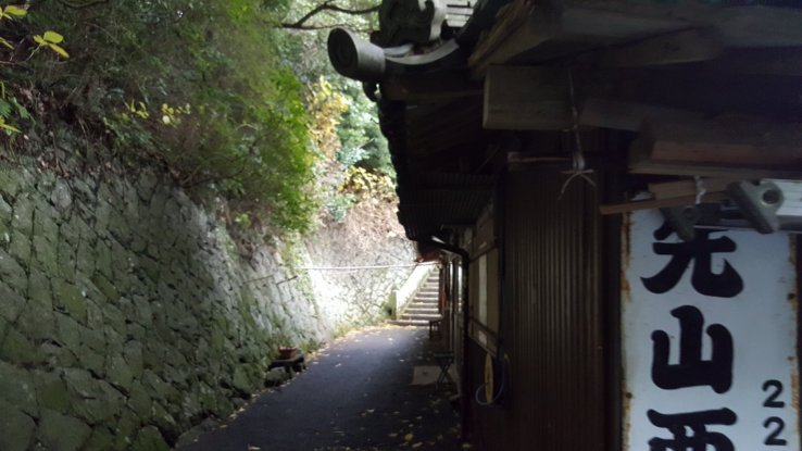 The narrow path leading to the temple