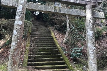Stairway that transcends the viewer to a higher place where views are accessible 
