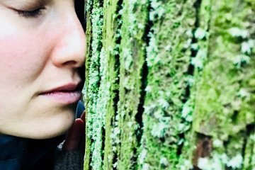 Connect with the spiritual essence of Ise Forest