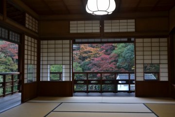 View from the second floor, this time towards the road and Wa-raku-en in the background