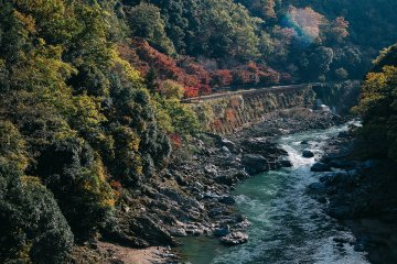 Lost and Found in Arashiyama