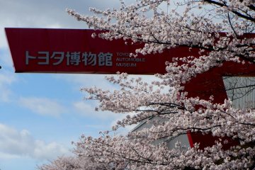 <p>The museum is surrounded by cherry trees</p>