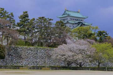 <p>The castle grounds in the Sakura season attract a lot of crowds, hence it is advisable to visit on the weekdays when the crowds are thin and you can enjoy the blossoms much more at leisure.</p>