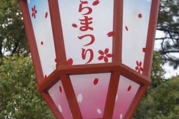 <p>The Sakura Festival lanterns are lit up at night. They are supposed to be very beautiful; however, I had to return to Tokyo before that</p>