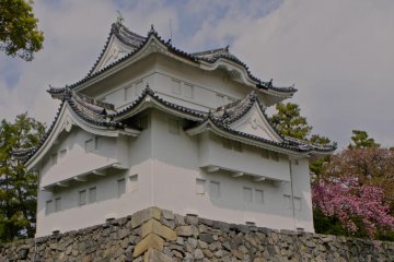 <p>Pink flowers near the entrace to the castle</p>