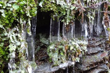 Icicles (titisan air membeku) di lereng gunung