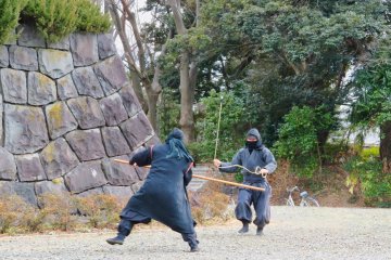 Ninja Facts Versus Fiction