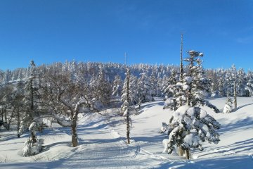 Powder heaven