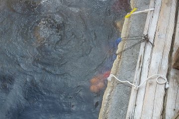 Buy eggs and boil them directly in the hot water in Yunomine Onsen (湯の峰温泉) 