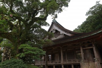 Nachisan