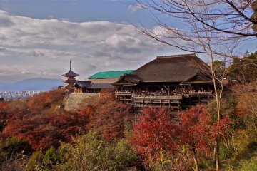 Kiyomizu-dera in Autumn