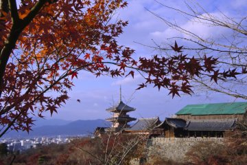 Wonderful red leaves on the temple grounds