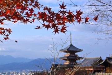 Autumn colors