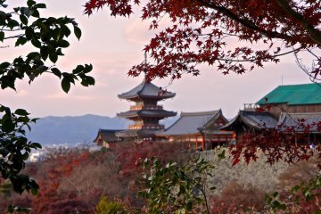 Kiyomizu-dera, great backdrop for autumn leaves