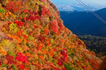 Fall Colors near Ropeway