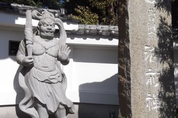 Guarding the gate