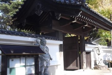 The main gate
