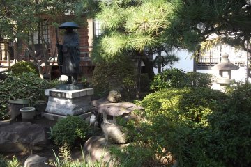 The greenery around the prayer hall