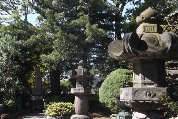 Two large lanterns light the path by the hall