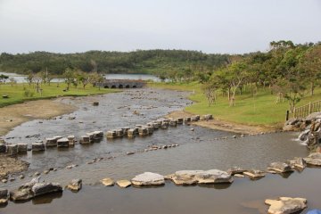 <p>The water in the foreground is about a half meter deep and perfect for cooling off</p>