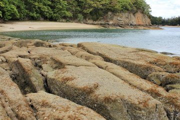 The rocks have pools with shrimp, anemone and other marine life