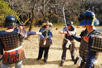 Surprising Hachioji
