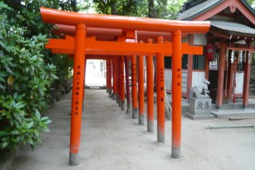 <p>Sumiyoshi shrine torii</p>