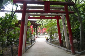<p>Sumiyoshi shrine torii</p>