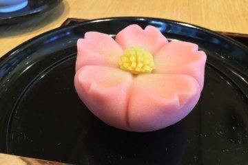 Tsuruya Yoshinobu: Confectionary Too Gorgeous to Eat