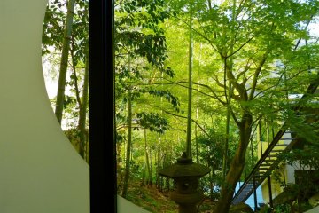 View from a round window