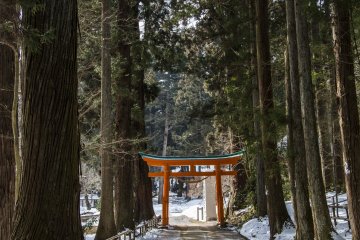 Walk past the torii gate and farther into Chuson-ji's grounds, where fewer people venture, to find more photo opportunities