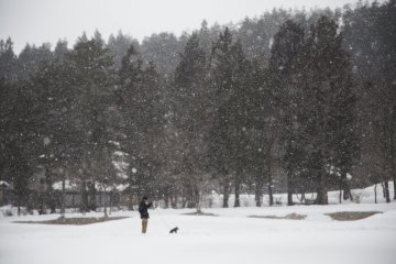 The falling snow at Tono Furusato Village turned the place into a dreamy landscape