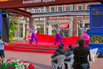 Live stage performances throughout the park