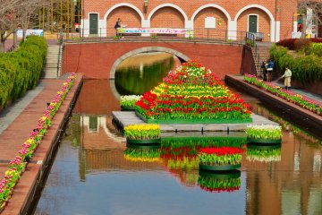 Canal Tulip Exhibit
