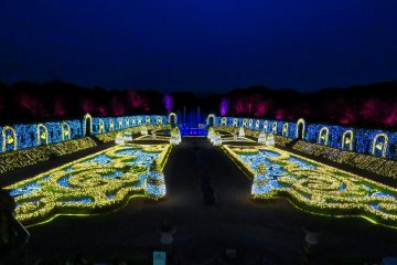 Palace Light Show
