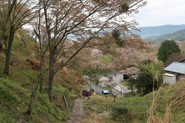 Awalan Naka Senbon