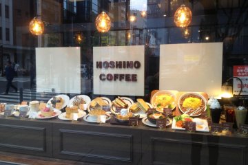 Plastic menu display window