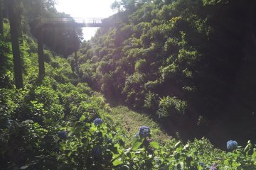 View from under the bridge