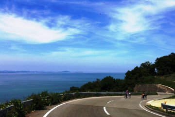 Cycle past olive groves and strawberry farms in Setonaikai