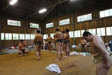 The junior rikishi prepare to show Hakuho their training exercises