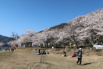 Locals enjoying a picnic