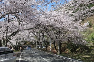 It was amazing to drive under this view