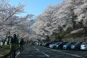 Cyclists and cars share the road