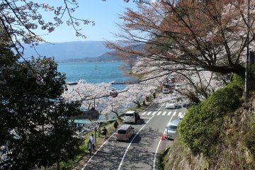 Taken from a temple on a hill