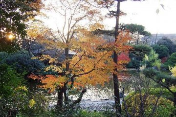 Tennoji Park in Autumn
